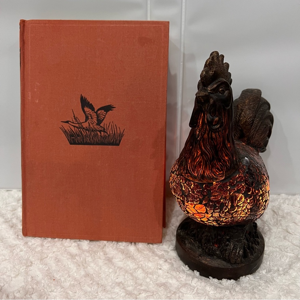 Discovery Great Moments In The Lives of Outstanding Naturalists John K. Terres